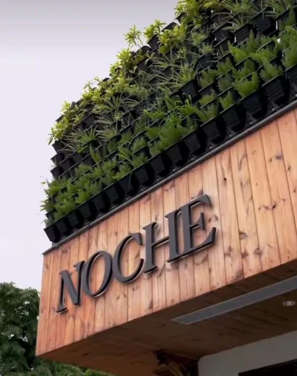 Noche logo