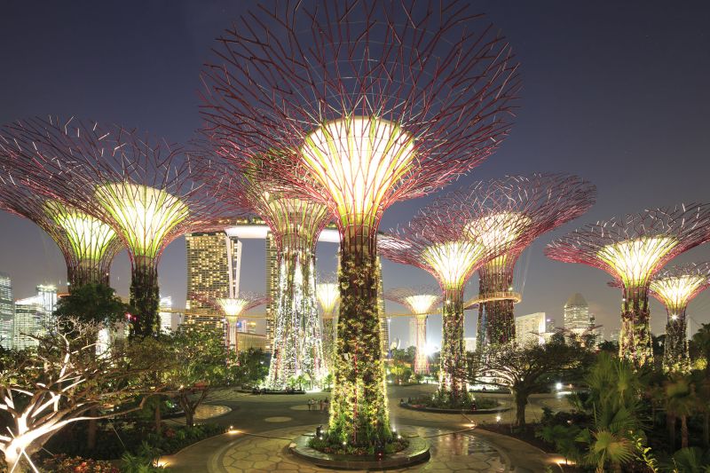 Garden by bay grove trees at night